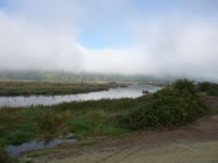 Restoring an Estuary